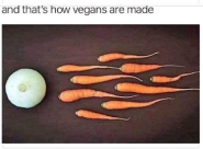 how vegans are made